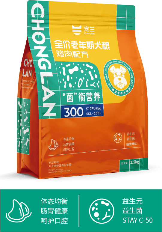 老年犬
