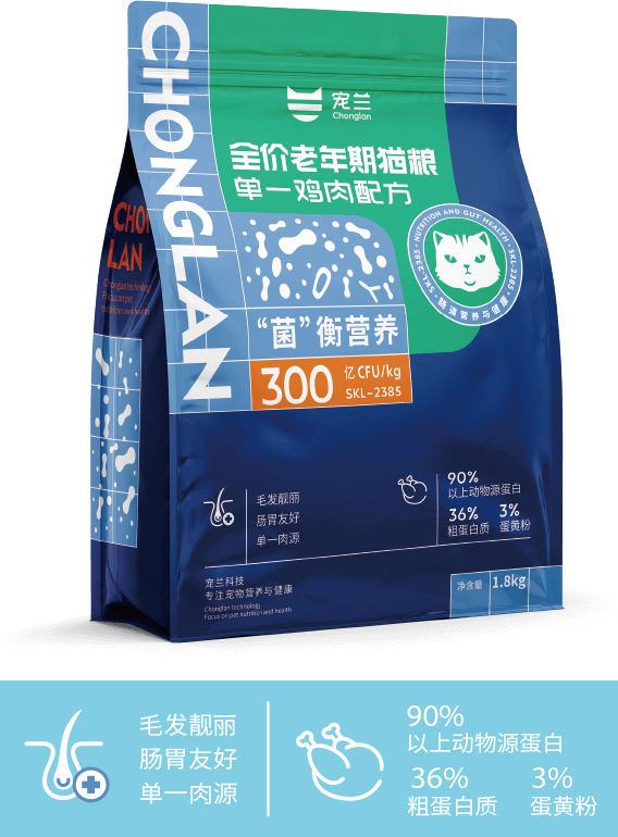 老年猫